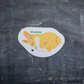 Corgi - Pop up Sponge