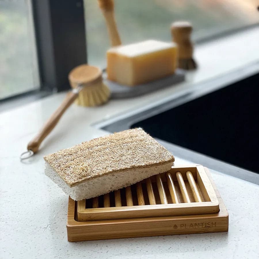 Eco Sponge